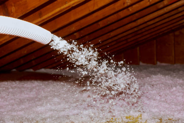 Best Types of Insulation in Sugarmill Woods, FL